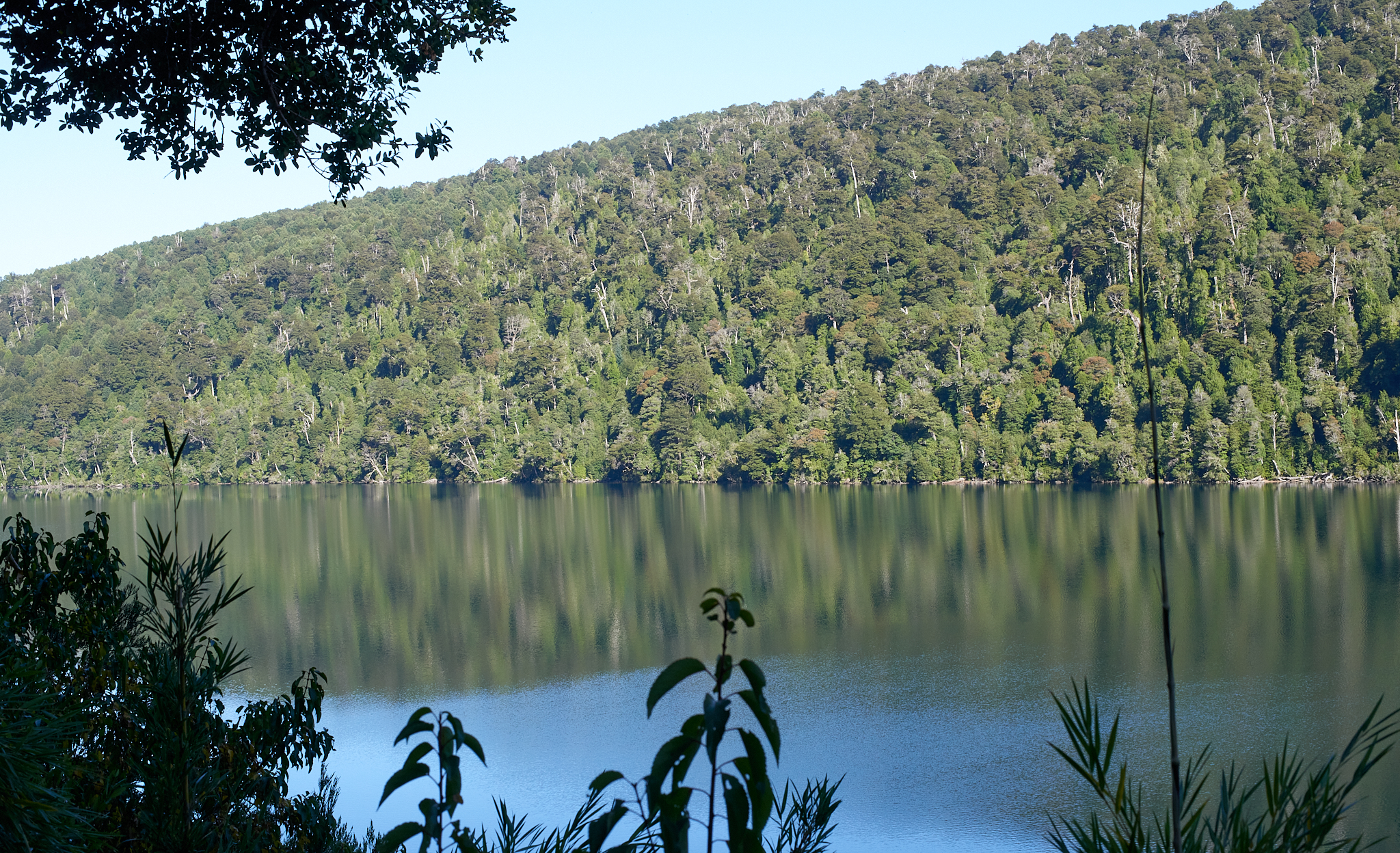 20200317 868 [칠레] 푸콘 우에르케우에 국립공원 트레킹